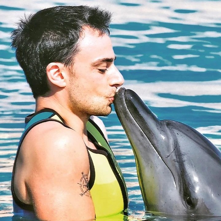 Bodrum Swim with Dolphins Family Friendly Adventure in Turkey