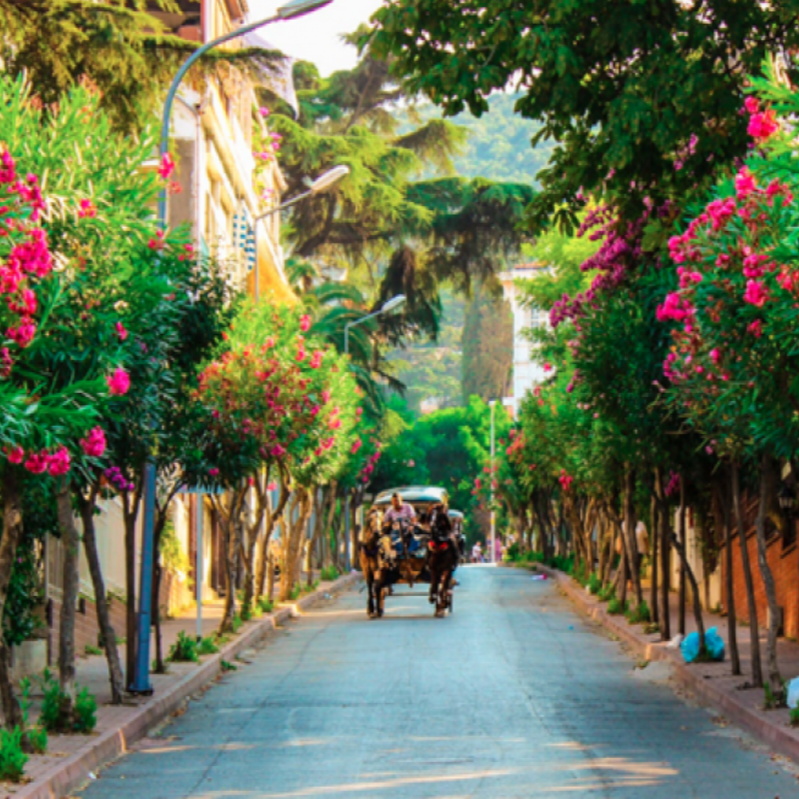 Princess Island Istanbul Daily Tour with Guide and Transfer